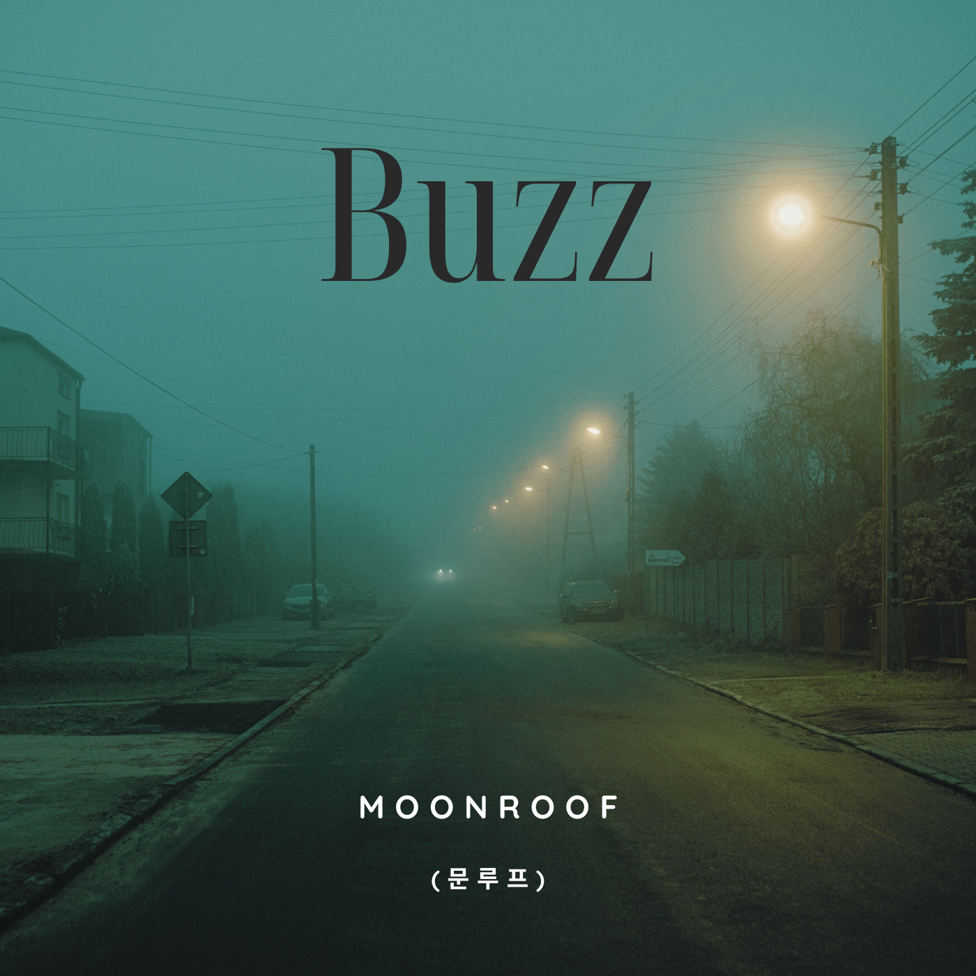 Moonroof – Buzz