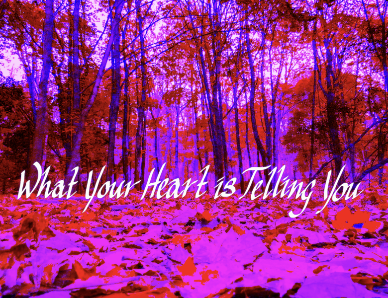 Golden Feather – What Your Heart Is Telling You