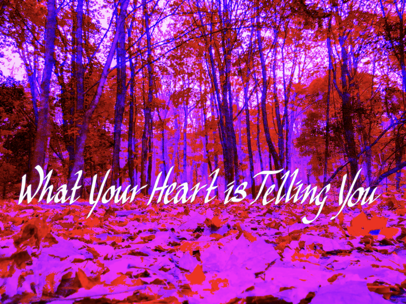 Golden Feather – What Your Heart Is Telling You