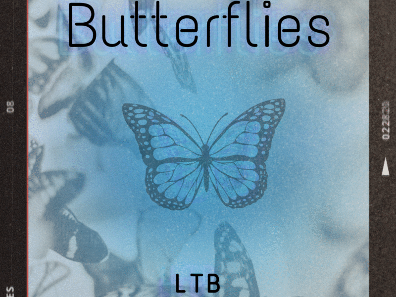 LTB – Butterflies