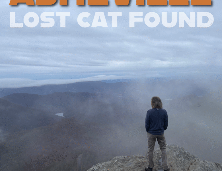 Lost Cat Found – Asheville