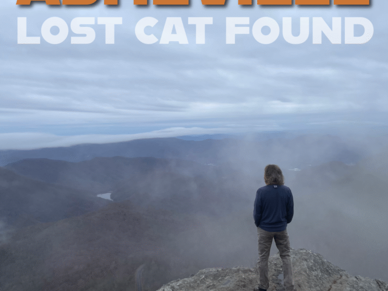 Lost Cat Found – Asheville