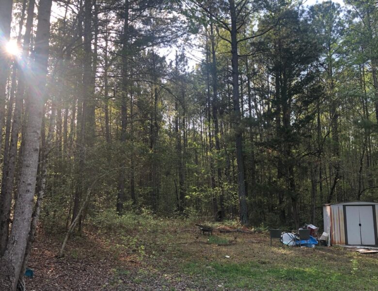 Nogonomas! – Nowhere, New Mexico