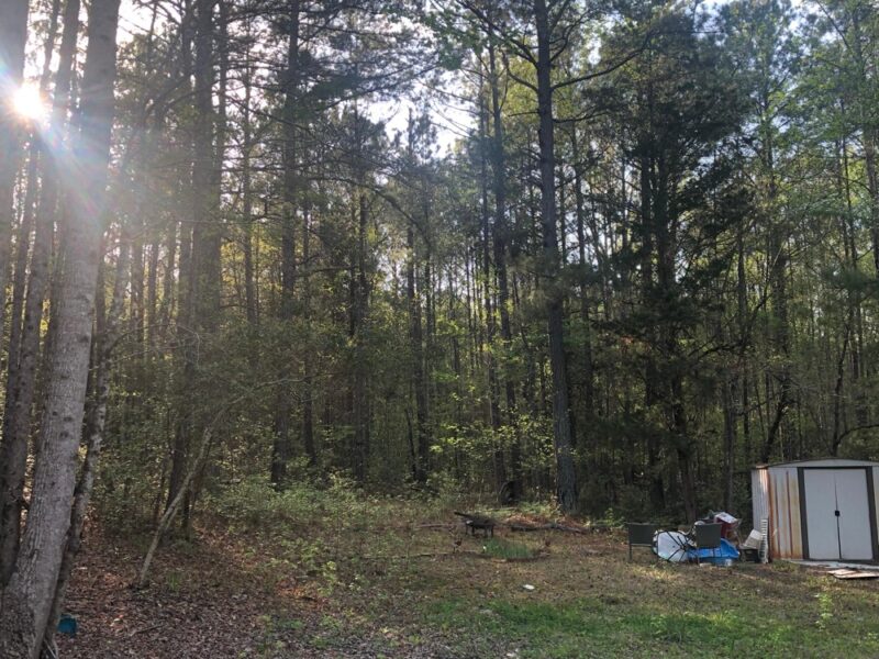 Nogonomas! – Nowhere, New Mexico