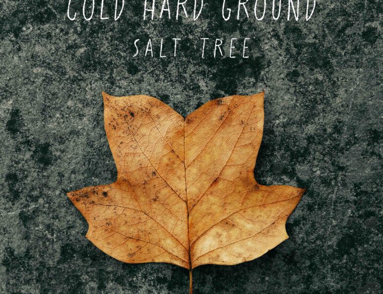 Salt Tree – Cold Hard Ground