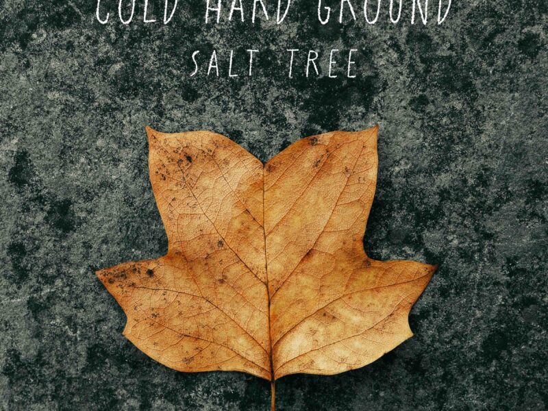 Salt Tree – Cold Hard Ground